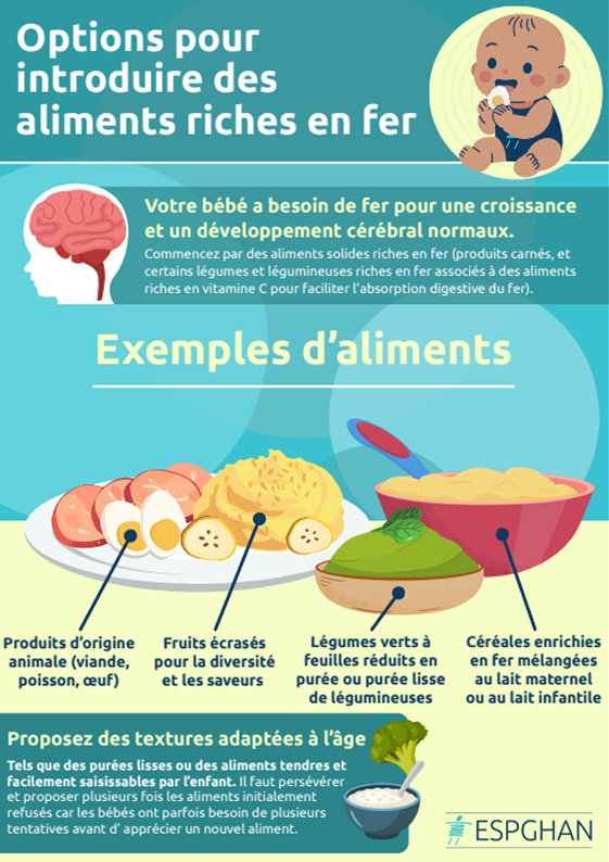 Options pour introduire des aliments riches en fer